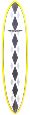 epoxy funboard surfboard picture